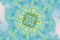 Mandelbrot fractal image algae glazer