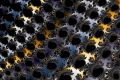 Mandelbrot fractal image Ap111