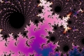 mandelbrot fractal image batsflight