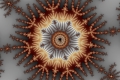 Mandelbrot fractal image brown splash