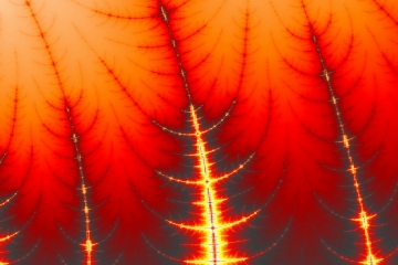mandelbrot fractal image named burning trees