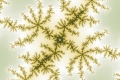 Mandelbrot fractal image collision