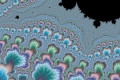 Mandelbrot fractal image Coral Reef