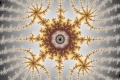 Mandelbrot fractal image courage