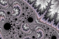 mandelbrot fractal image CytoplasmM-brodt