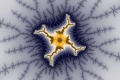 Mandelbrot fractal image dimension out