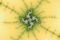 Mandelbrot fractal image double dragon