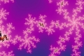 Mandelbrot fractal image dragonseed