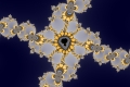 Mandelbrot fractal image edible