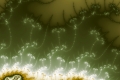 Mandelbrot fractal image effervescent