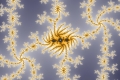 Mandelbrot fractal image entangled