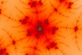 Mandelbrot fractal image Fire Blossom 