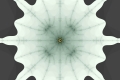 Mandelbrot fractal image flat