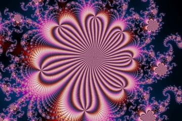 mandelbrot fractal image named flower