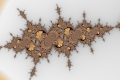 Mandelbrot fractal image HazyNautilus