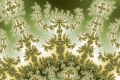 Mandelbrot fractal image Jungle..