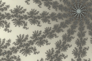 mandelbrot fractal image named leeburst