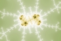 Mandelbrot fractal image lemon root