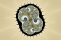 Mandelbrot fractal image Lurgi