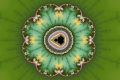 Mandelbrot fractal image Mandelbrot Flower