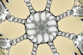 Mandelbrot fractal image momentum
