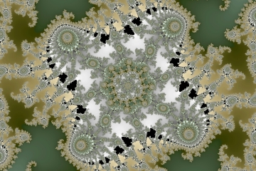 mandelbrot fractal image named noise flowers