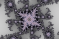 Mandelbrot fractal image pegleg