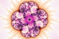 mandelbrot fractal image Petallic