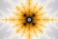 Mandelbrot fractal image phoenix