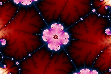 mandelbrot fractal image named Pink flower