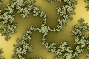 mandelbrot fractal image named regeneration