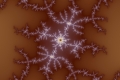 Mandelbrot fractal image shell mystery