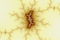 Mandelbrot fractal image spore