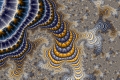Mandelbrot fractal image the root