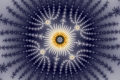 Mandelbrot fractal image trance drums