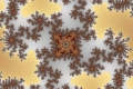 Mandelbrot fractal image warranty