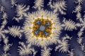 Mandelbrot fractal image water duplication