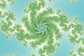 Mandelbrot fractal image waterbug