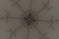 Mandelbrot fractal image whitefish