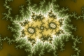 Mandelbrot fractal image Wild vegetation