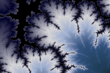 mandelbrot fractal image named Winter leaf